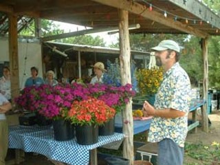 Arnosky Family Farms' Texas Specialty Cut Flowers