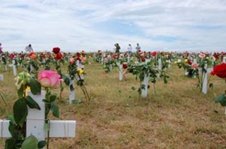 On Sunday, Camp Casey's makeshift memorial of 300-plus white crosses, Arlington West, was draped in a wave of roses.
