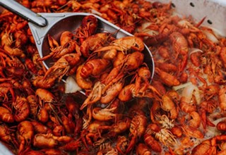 Chaos Reigns at the “Fyre Festival of Crawfish”