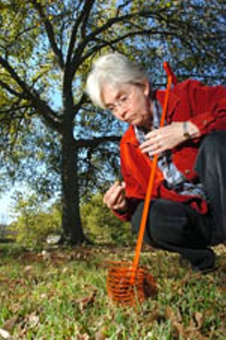 Jodi Bonner combs her Shoal Creek-area yard for pecans.