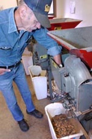 Frank Rainosek works the pecan-cracking machine at the Shoal Crest Senior Activity Center.