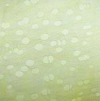 <i>Cellular Seasons</i>