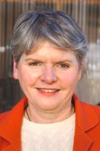 Kathy Rider (D)<br>Supports closing business franchise tax loopholes and raising tobacco and alcohol taxes to replenish education funding; opposes state-funded voucher program; says she'll work toward improvements in state's mental health system.