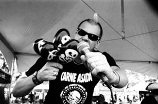 <i>Punk Like Me</i>