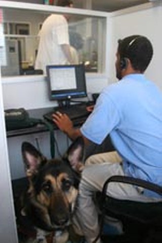 King the dog may be the eyes, but not the ears for his owner, Denime Sadler, a Yellow Cab call center worker who can answer phones and communicate with cabbies as well as any sighted person.
