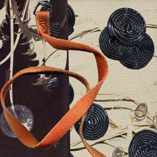<i>Licorice</i>, Sarah Greene Reed
