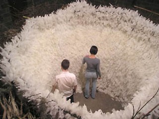 <i>Nido</i>, by Cesar Alexander Villareal