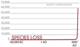 This chart shows the dramatic acceleration of species extinction in the last 150 years, from a combination of loss of habitat and other factors, including global warming, which can derive from and contribute to environmental destruction. The rate of species extinction is now estimated at 1,000 times higher than the normal background rate.