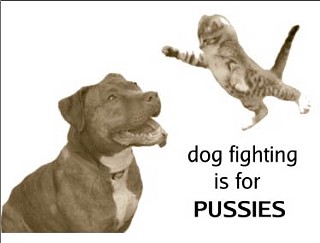 The Sharon Yancey graphic statement on dog-fighting, available on T-shirts, postcards, and more