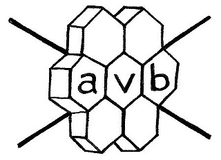 Austin Video Bee: Daring to fail