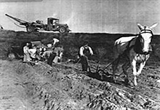 Austin Victory Gardens, 1942-43