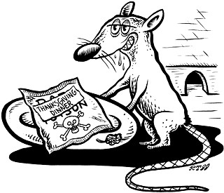 Rats!