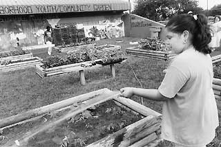 Apolonia Tovar waters plants at the Montopolis Community Center.