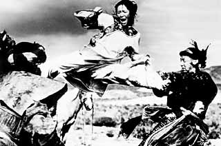 Lee pitched his film as <i>Sense and Sensibility</i> with martial arts.