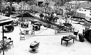 The Armadillo Beer Garden