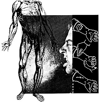 Surreal Science