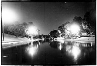 Barton Springs