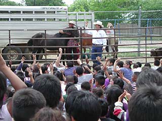 Creed Ford, of Fired Up Incorporated, entertains students at Sanchez Elementary
<br>(Photo Courtesy of CAFB)