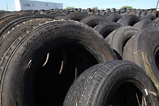 Rows and rows of city vehicle tires were abandoned in this Southeast Austin field.