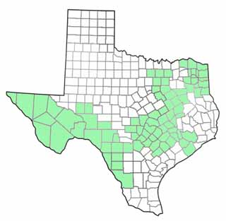 Counties (shaded) with affiliated  Texas Green Party chapters  (source: Green Party of Texas)