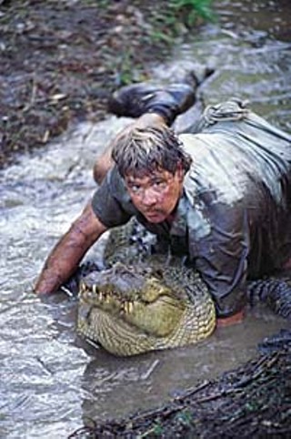 Crikey!