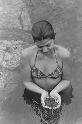 A swimmer holds evidence that the No Degradation  policy for Barton Springs has been less than successful.