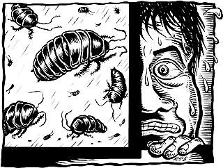 Roach illustration