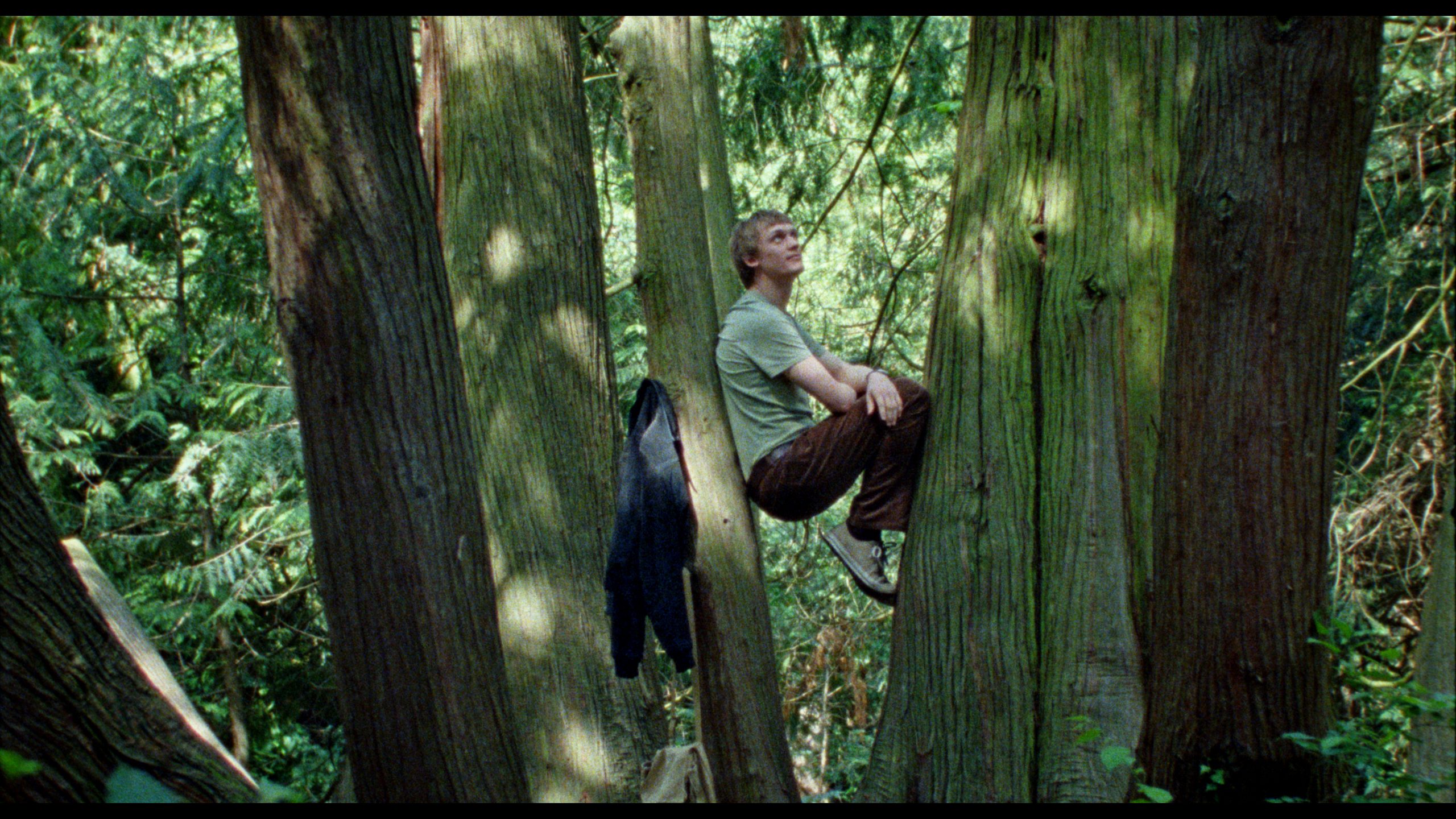 Silent Friend Review: Tree of Life • The Austin Chronicle